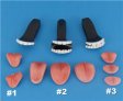 Teeth sets