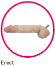Erect