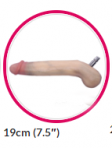 19cm