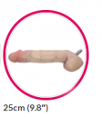 23cm