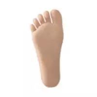Regular Foot