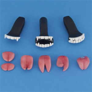 Teeth sets