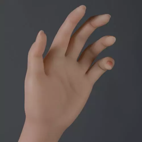 Articulated Jointed Fingers